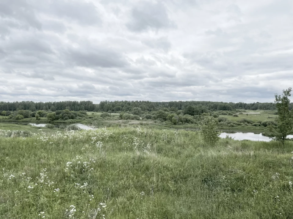 фасады
