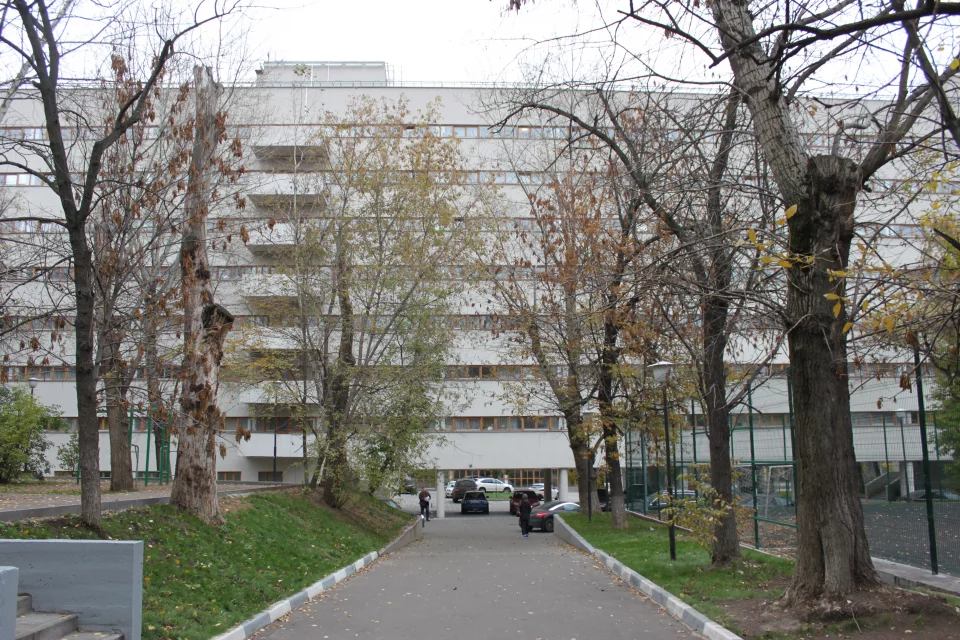 Фасады