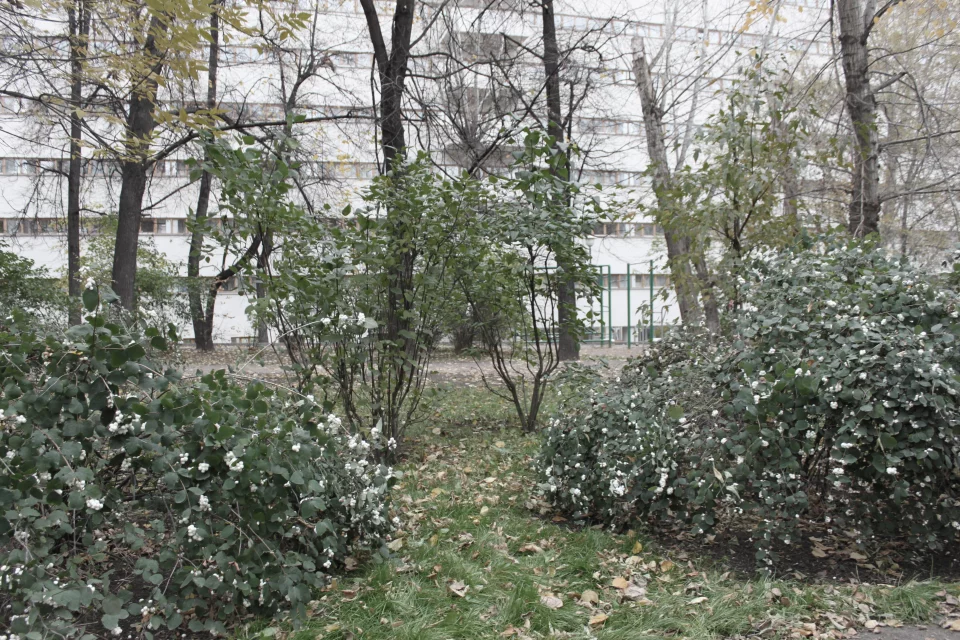 Фасады