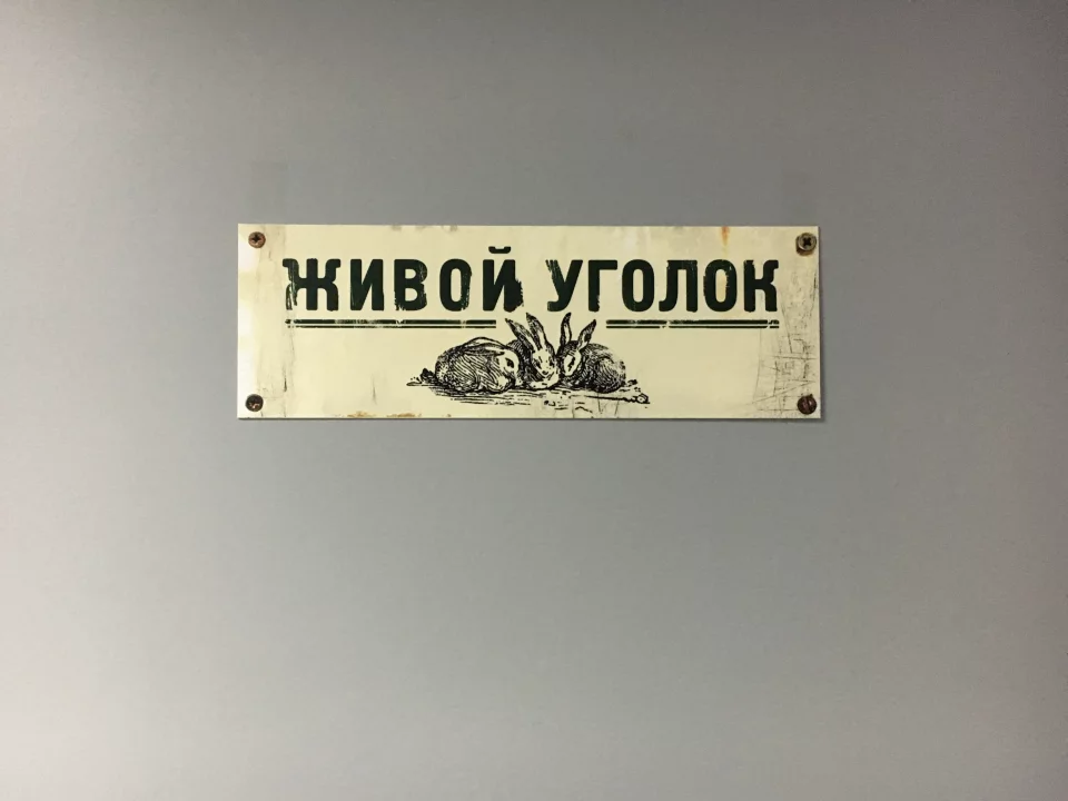 Ячейки студентов восстановленные